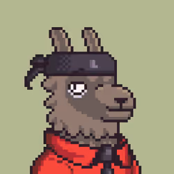LlamaPix #2332