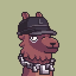 LlamaPix #2783