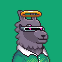 LlamaPix #2564