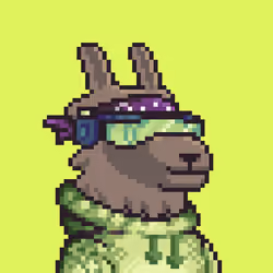 LlamaPix #3200