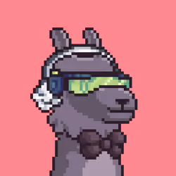 LlamaPix #2157