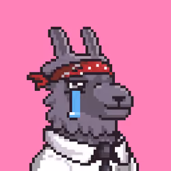 LlamaPix #893