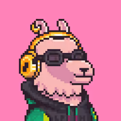 LlamaPix #2264