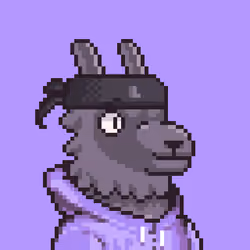 LlamaPix #2975