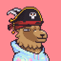 LlamaPix #3333
