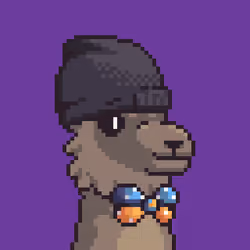 LlamaPix #2160