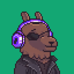 LlamaPix #1897