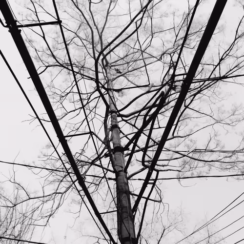 Connections Editions By Sean Bonner