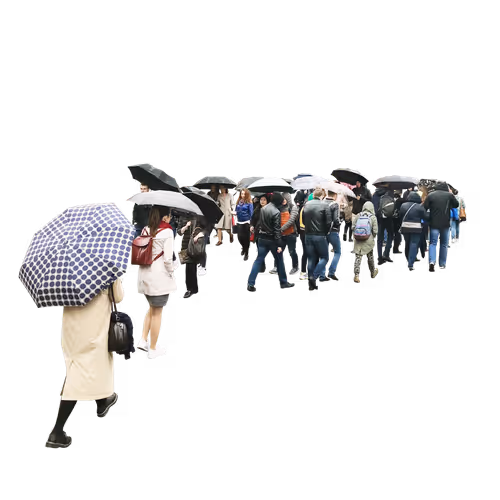 crosswalk _ 008
