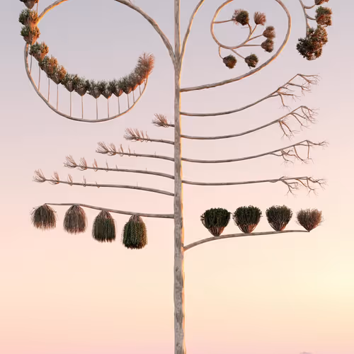 Natural Balance Burn By Six N Five