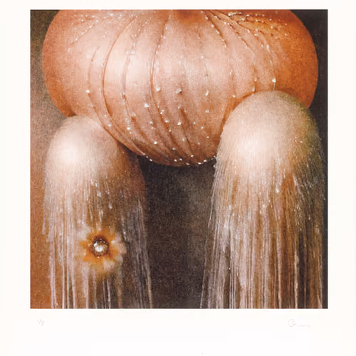 under the debris – lithographs by gozo