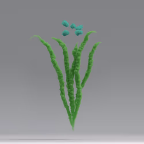 Trlab Your Daytime Fireworks