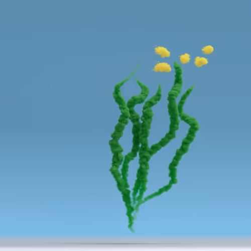 Trlab Your Daytime Fireworks