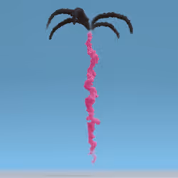 Day 11 #62