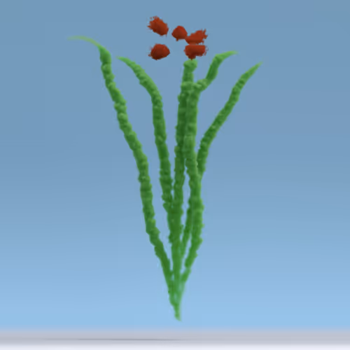 Trlab Your Daytime Fireworks