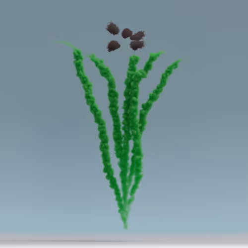 Trlab Your Daytime Fireworks