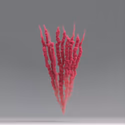 Day 9 #11