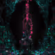 LOST IN LATENT
