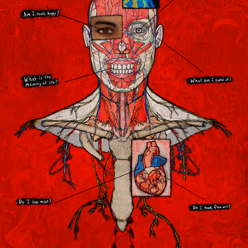 Im Only Human Mediolanum