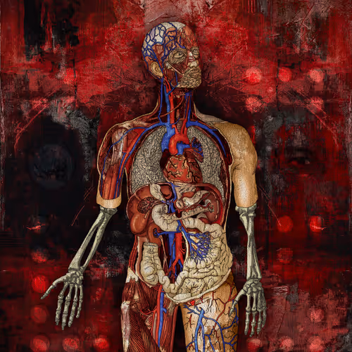 Im Only Human Mediolanum