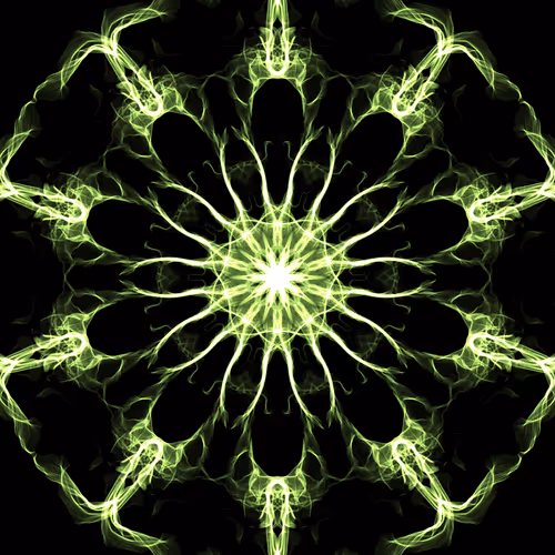 Item #572 Media