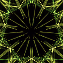 CryptoMorph - Mint #568