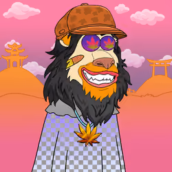 Peaceful Lion #238