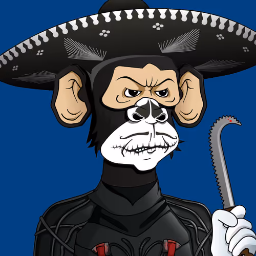 Monkey #2537