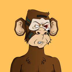 Monkey #2123