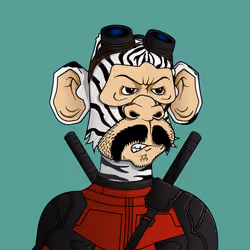 Monkey #8667