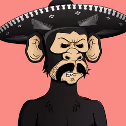 Monkey #7284