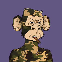 Monkey #6081