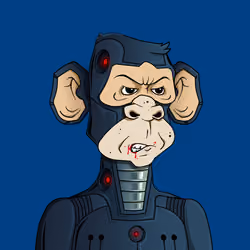 Monkey #6296
