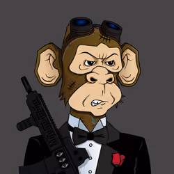 Monkey #6782