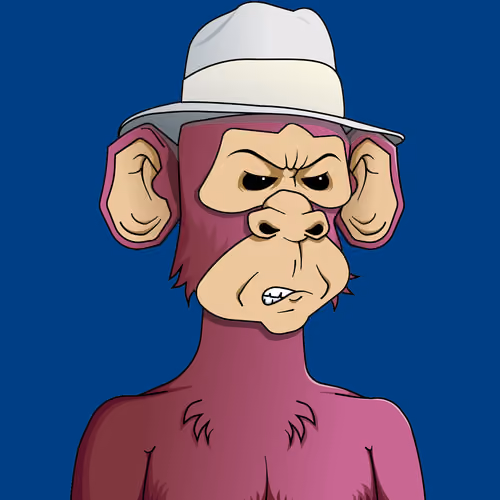 Monkey #3042