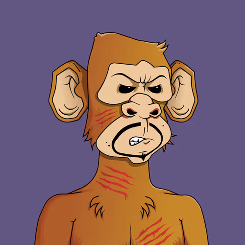 Monkey #1193