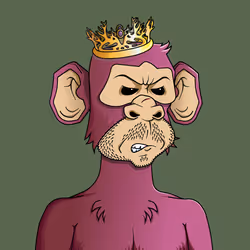 Monkey #248