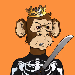 Monkey #1648