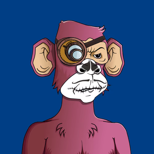 Monkey #7240