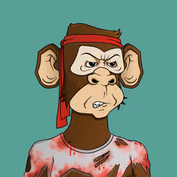 Monkey #2608