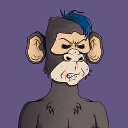 Monkey #1886