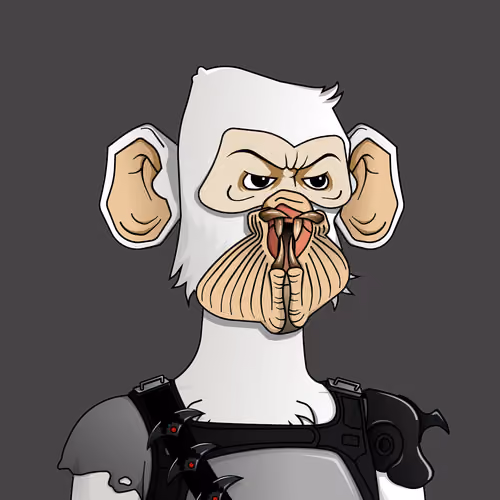 Monkey #404