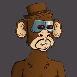 Monkey #373