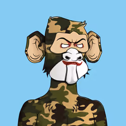 Monkey #886
