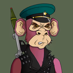 Monkey #6043