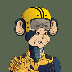 Monkey #8640