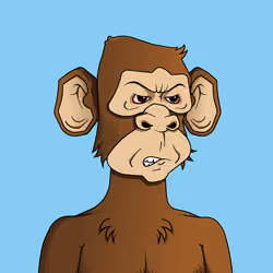 Monkey #6684