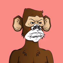 Monkey #9480