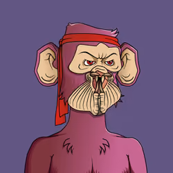 Monkey #8595