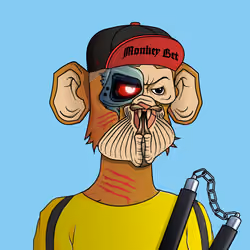 Monkey #155